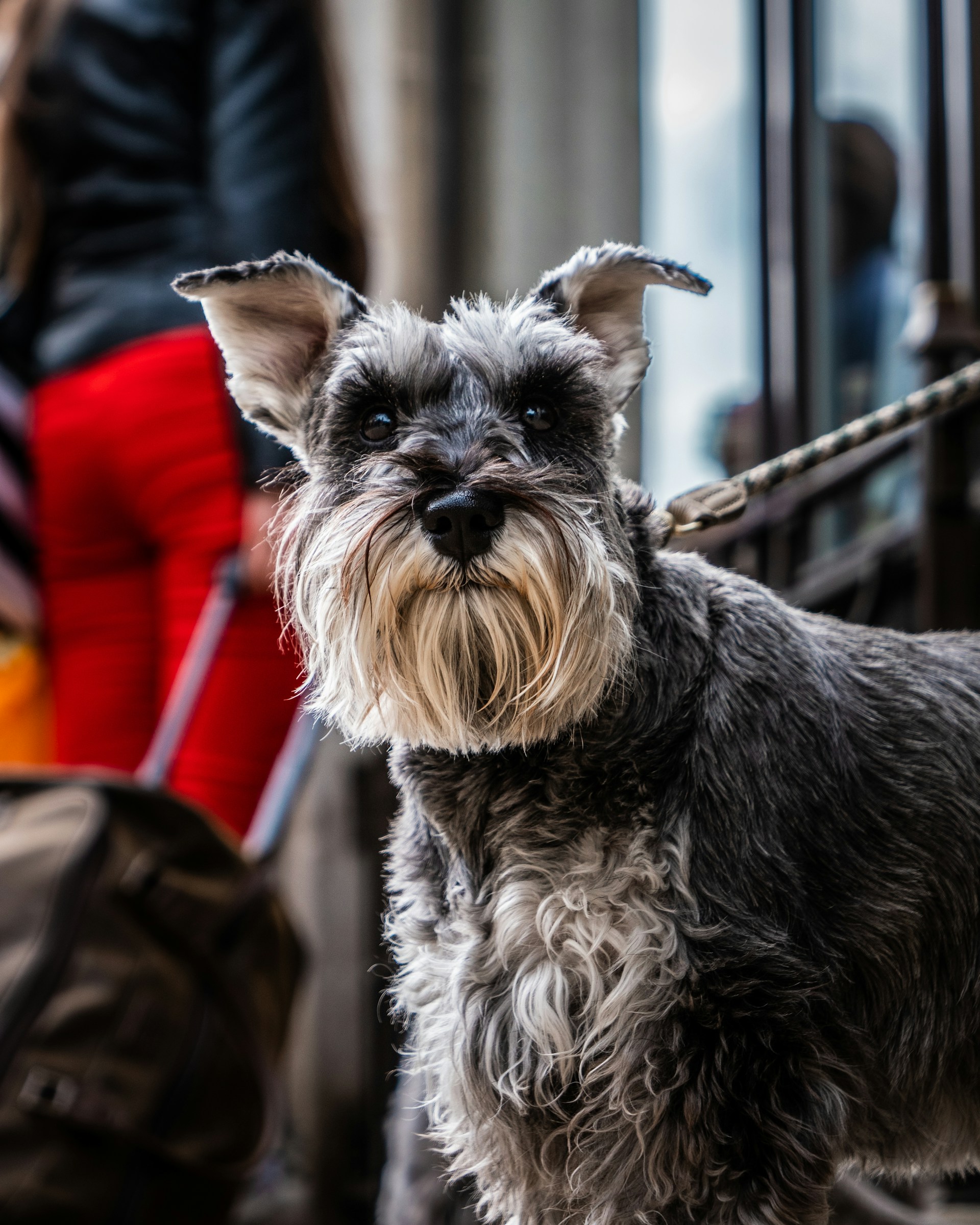 chris-curry-c7JBpJfG52A-unsplash