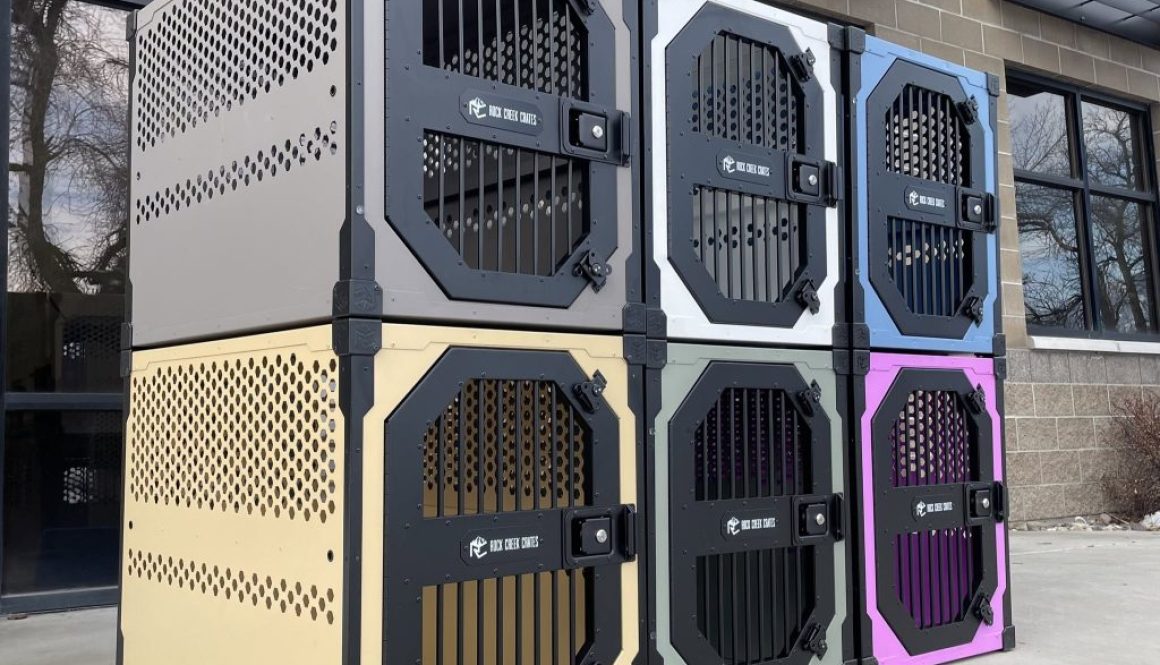 cage The Separation Anxiety Crate Protocol