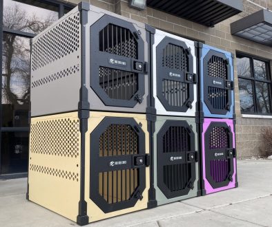 cage The Separation Anxiety Crate Protocol