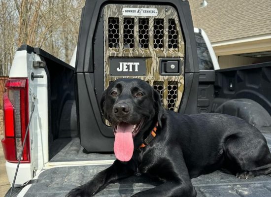 XXL Crash Tested Dog Crate
